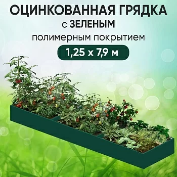 Грядка зеленая (1,25 х 7,9)